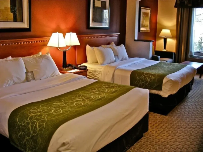 Standard Quadruple Suite