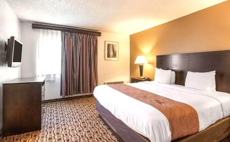 Deluxe Double Suite