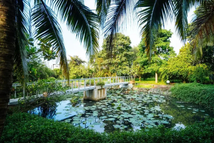 Đồi Sứ VILLA