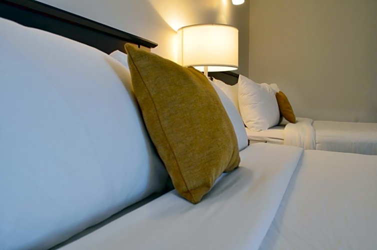 Premium Quadruple Suite