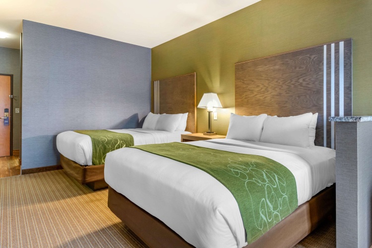 Quadruple Suite