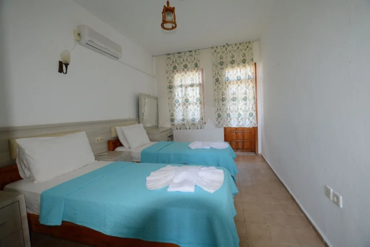 Standard Twin room with balcony and with garden view