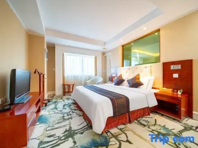 Superior Single Suite