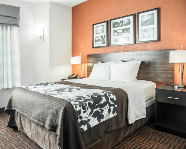 Standard room
