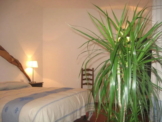 B&B Il Vecchio Ginepro