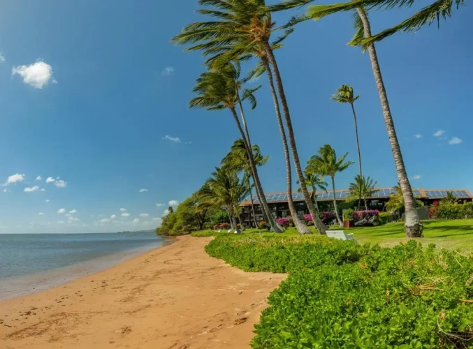 1 Bedroom Standard room oceanfront