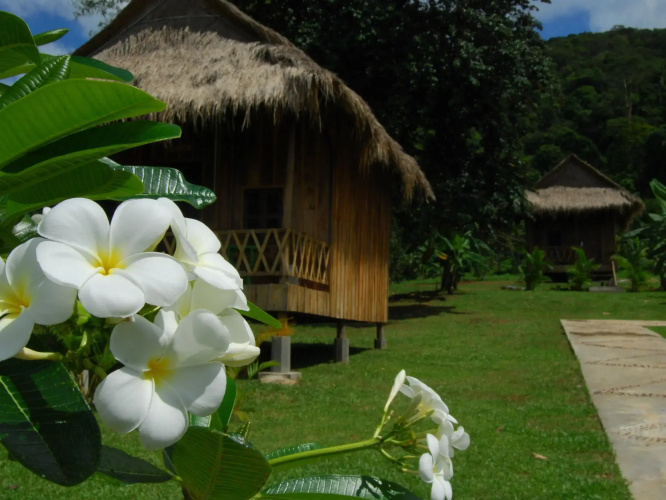 Q Bungalows