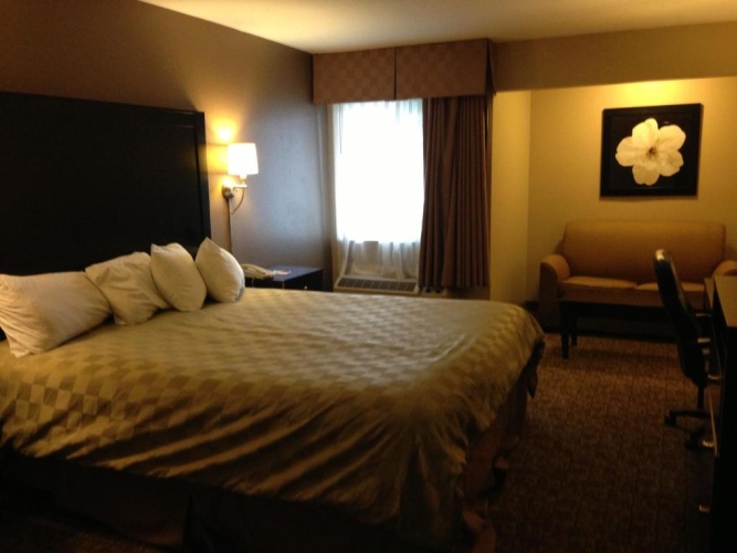 1 Bedroom Double Suite