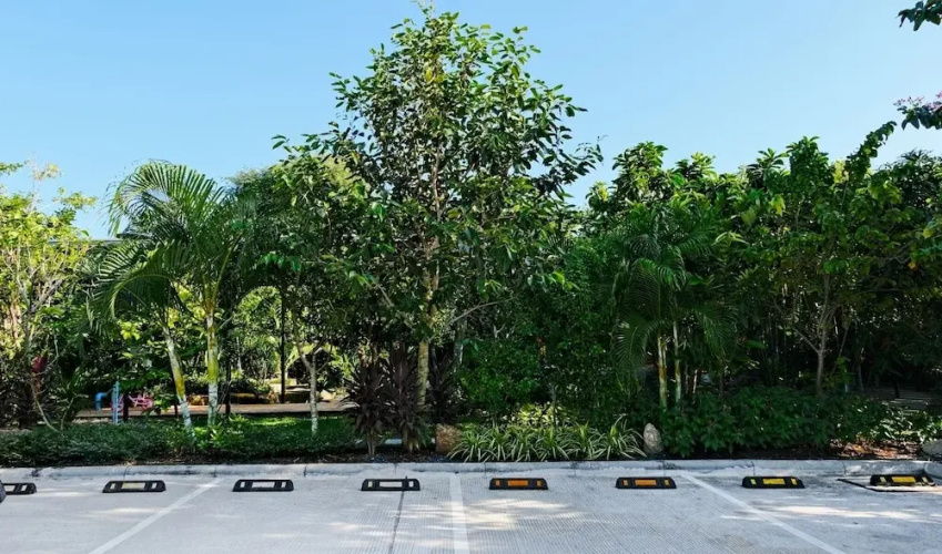 Lush Inn Phuket