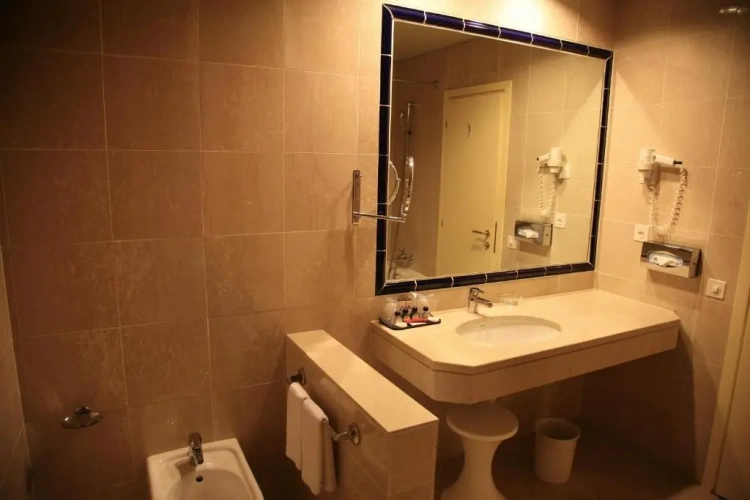 Superior Single room