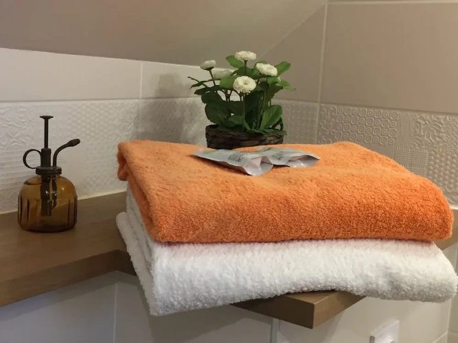 Comfort Double room with garden view