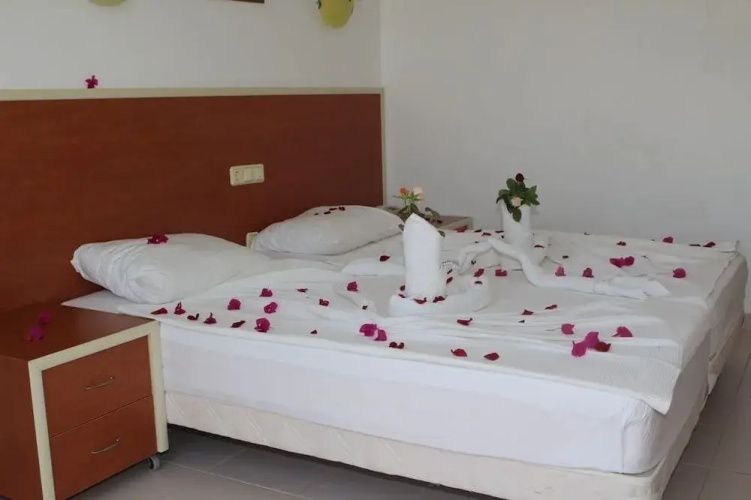 Hare Hotel
