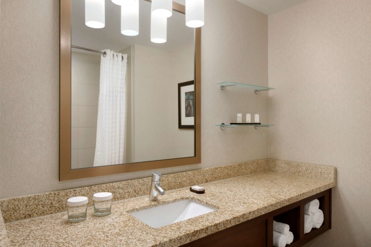 Embassy Suites by Hilton Denver Downtown Convention Center photo 11
