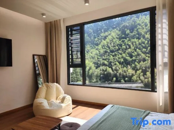 Standard Double room with mountain view