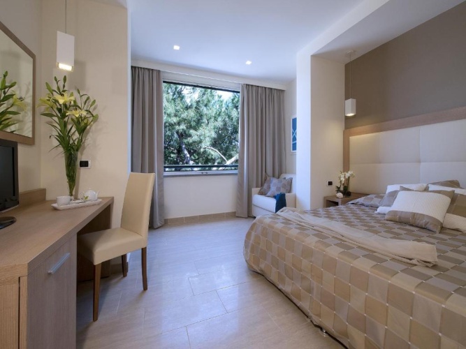 Standard Double room with city view