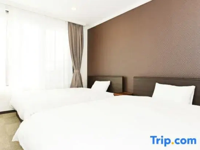 Executive Apartment