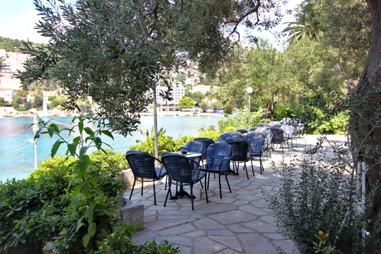 Vis photo 20