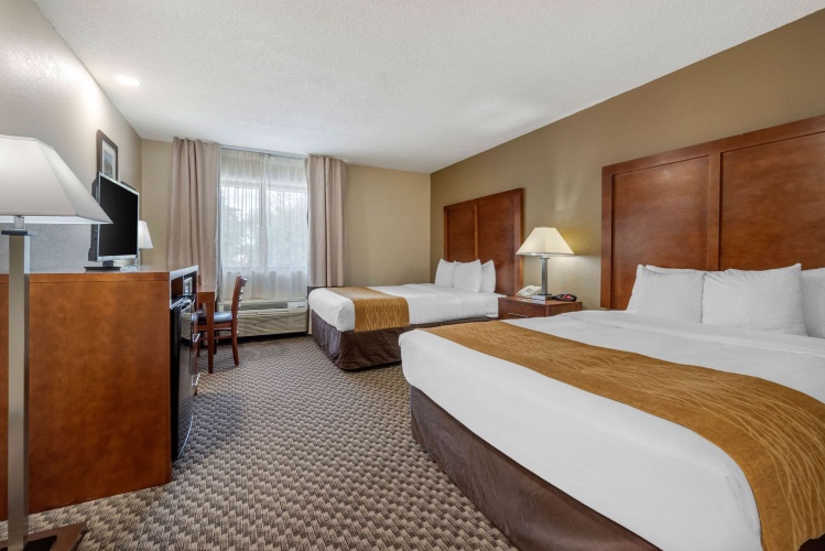 Standard Quadruple room
