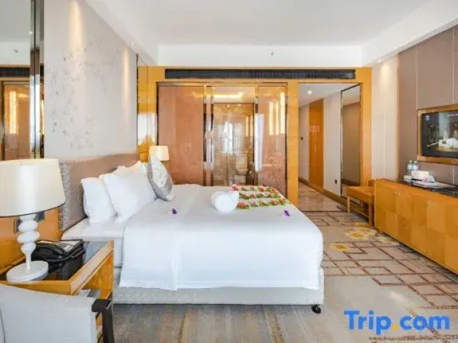 Business Double room with city view