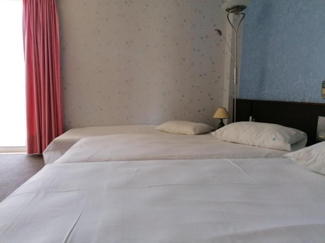 Standard Twin room with balcony and with view