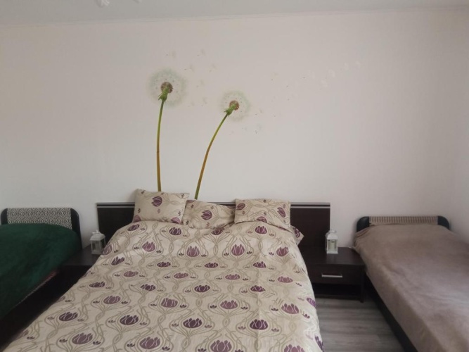 1 Bedroom Quadruple Apartment