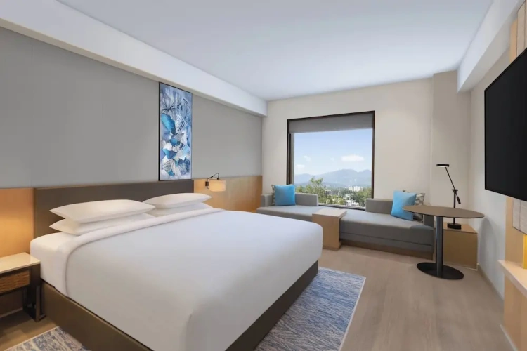 Deluxe Double room with view