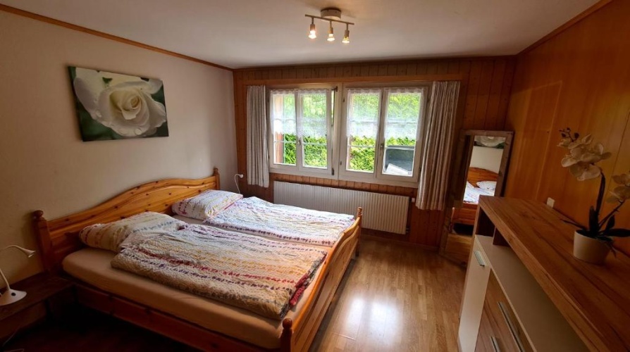 Standard Double room with mountain view