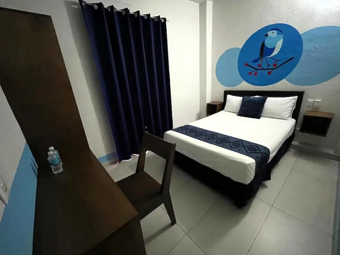 Hotel Juarez 70