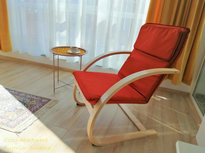 Cozy Apartment Bujorilor Suceava