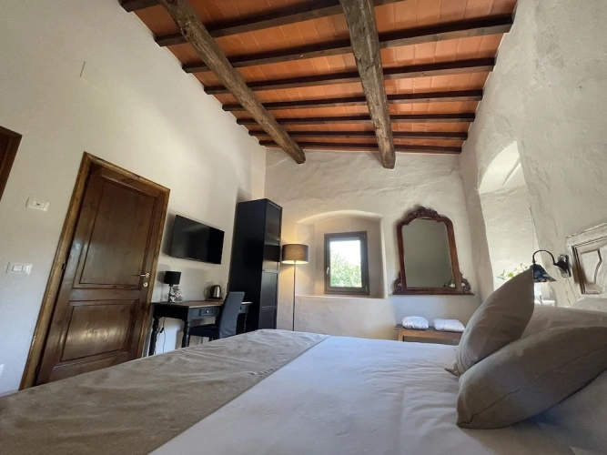 Superior Private Patio Double room