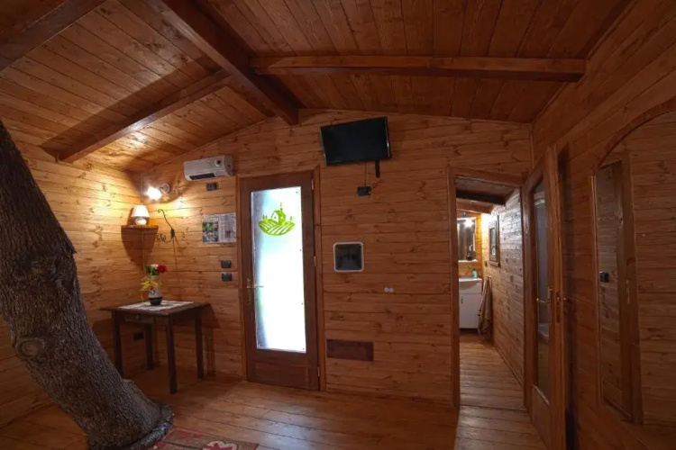 Casa sull'albero Bocchineri