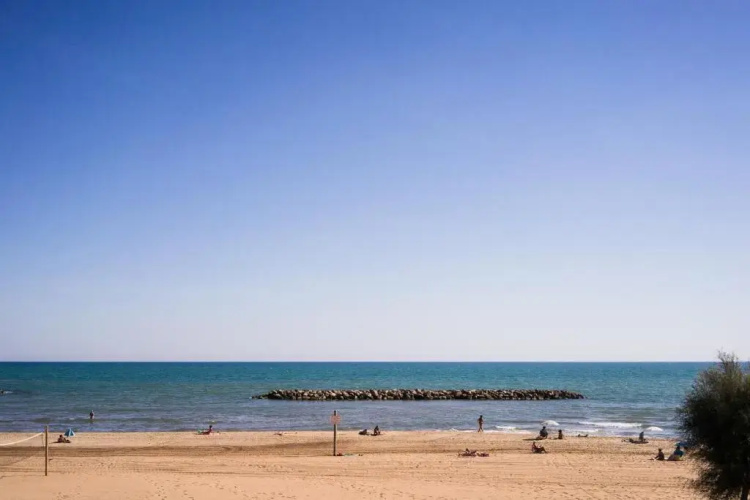 Bel appart vue mer