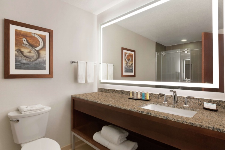 Embassy Suites by Hilton Grapevine DFW Airport North photo 12