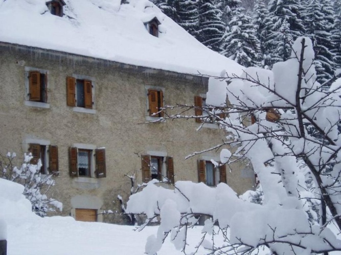 2 Bedrooms Basement Apartment