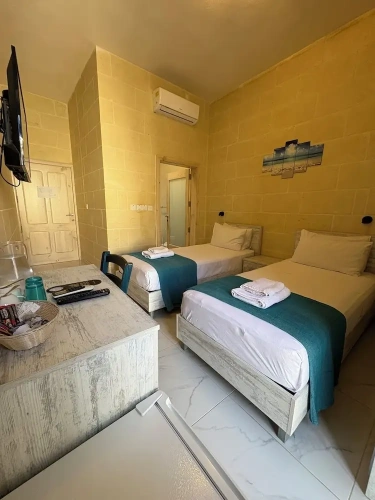 Standard Twin room with balcony and with pool view