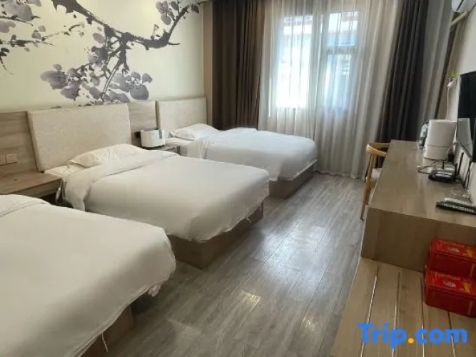 Standard Twin room with view