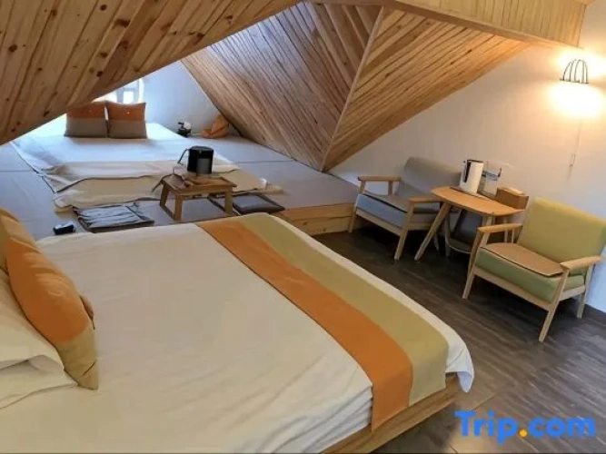 Standard Twin room with view
