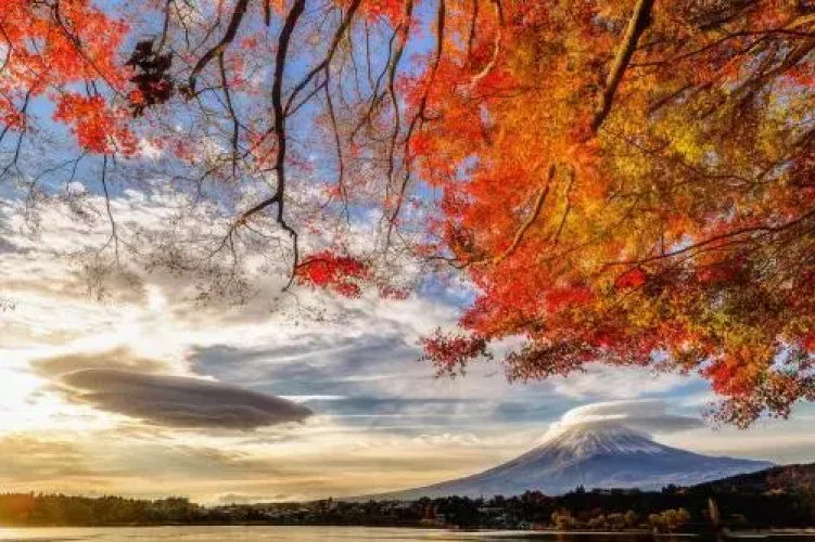 Daikokuya Mt.Fuji