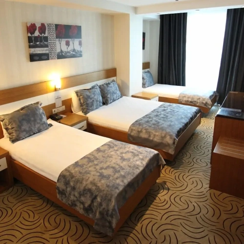 1 Bedroom Classic Triple room