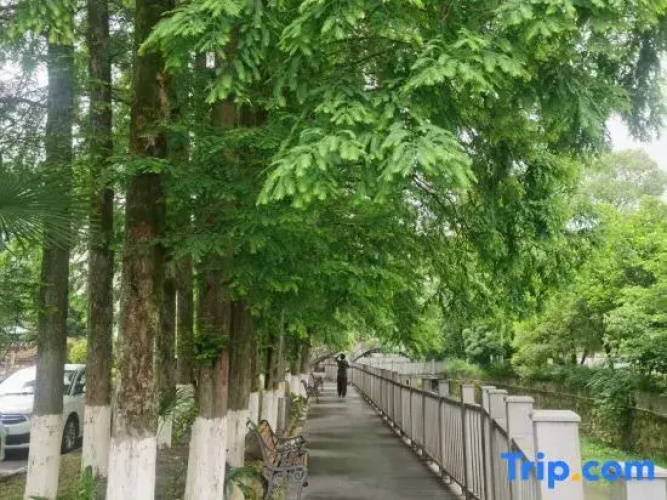 Jiangxi Mine Spa Hotel