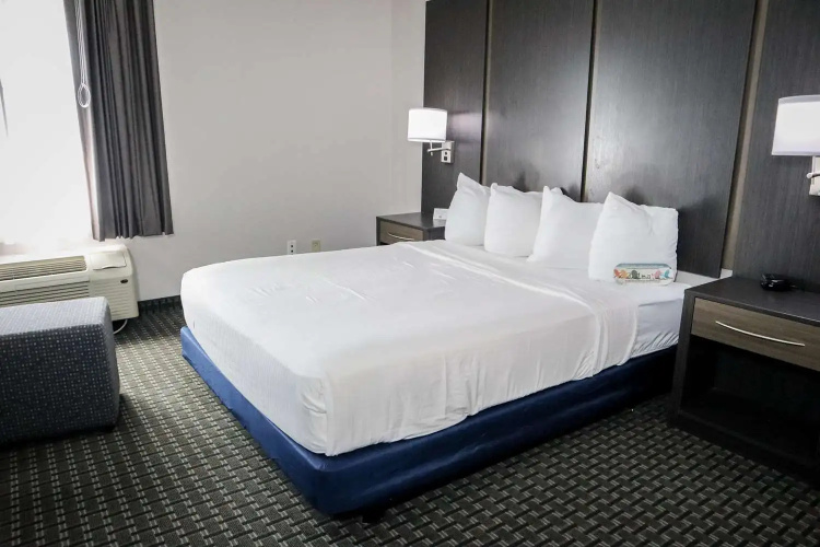 Best Western Ocala Park Centre I-75