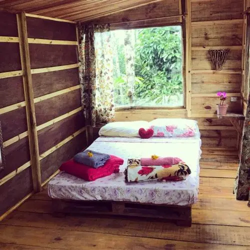 Hostel Radical Adventure