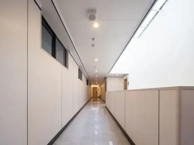 Baoting Xingdu Boutique Hotel