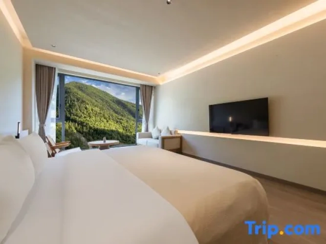 Standard Double room with mountain view