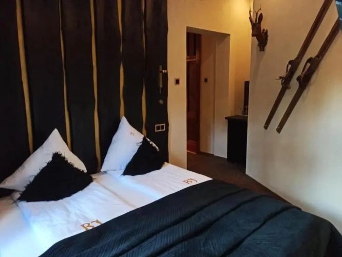 1 Bedroom Economy Apartment with view