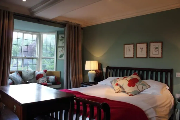 Deluxe Double room with river view