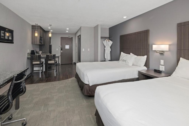 Deluxe Double Suite with view