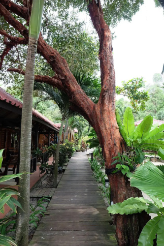 Tonsak Resort