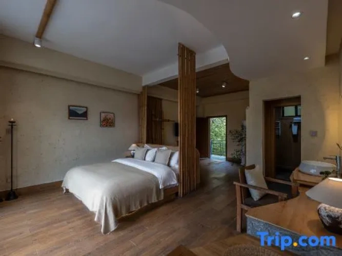 Standard Double room with balcony and with mountain view