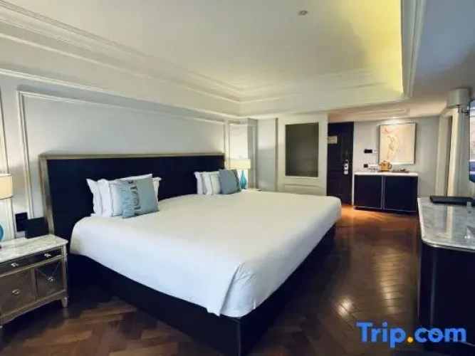 Superior Quadruple Family Suite
